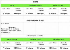 bilete expozitie