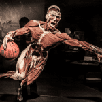expozitie our body cluj