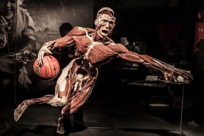 OUR BODY