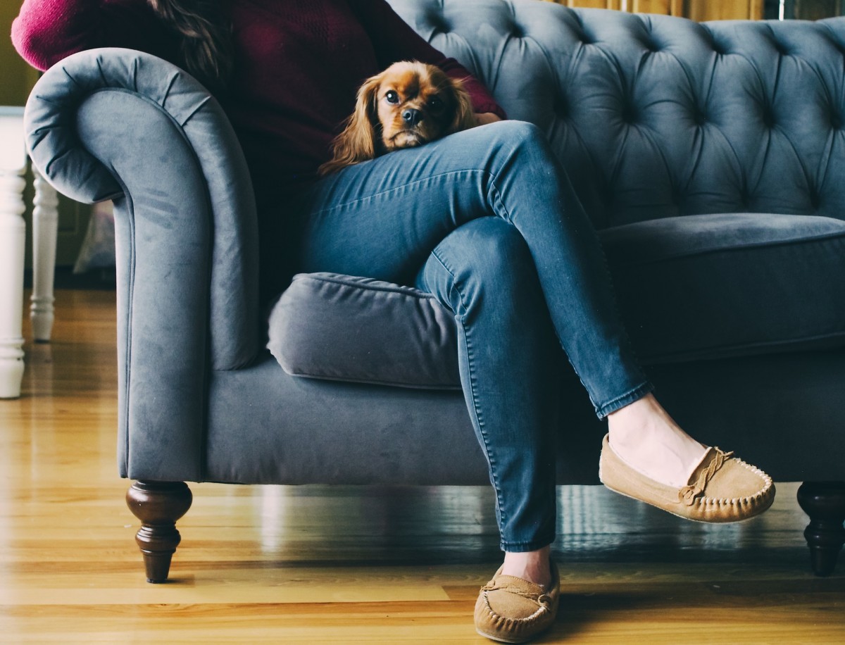 couch 2590993 1920