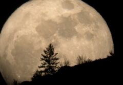 Stiri si evenimente din Cluj 11 Super Lună şi eclipsă de Lună