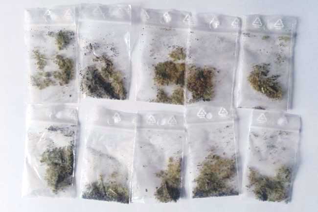 etnobotanice2