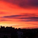 IMG 0346 e1447951717972