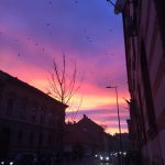 IMG 5758 e1447950950732