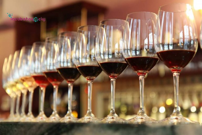 atelier degustare vin cluj