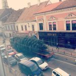 phto credit; diana.lupu