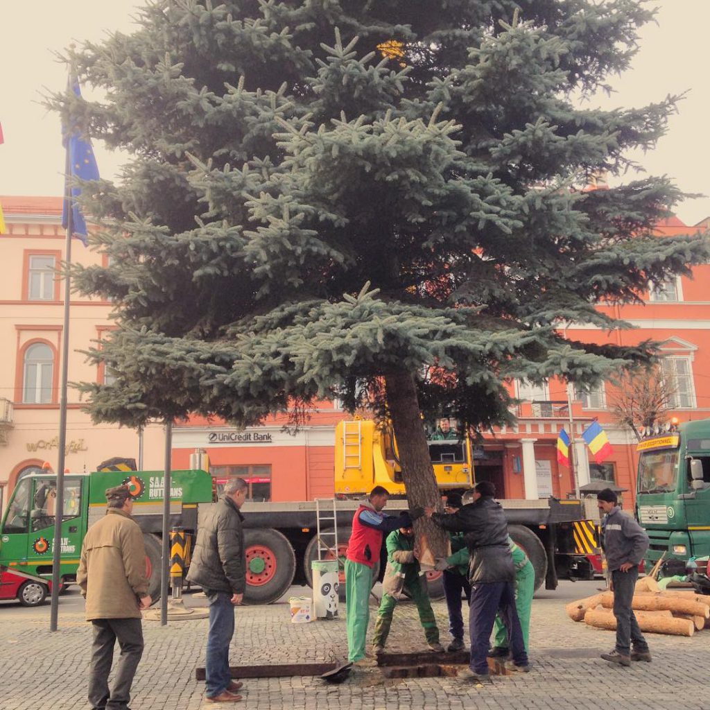 photo credit: jobbagyjulia