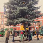 photo credit: jobbagyjulia