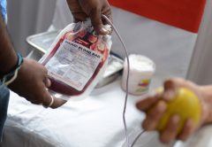 BLOOD NETWORK sânge