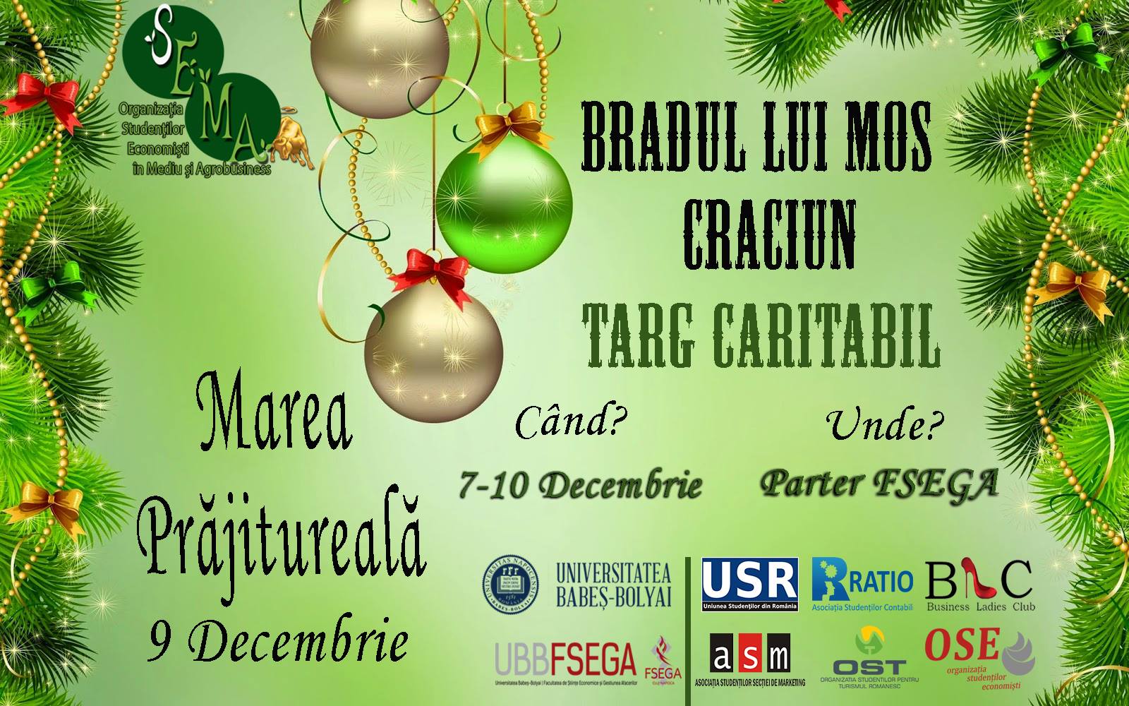 targ caritabil bradul lui mos craciun FSEGA Cluj SEMA