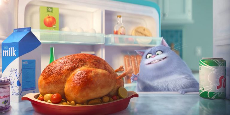 film animale comedie