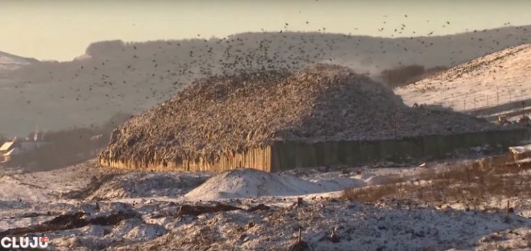 Viata la groapa de gunoi de la Pata Rat | Imagini filmate cu camera ascunsa