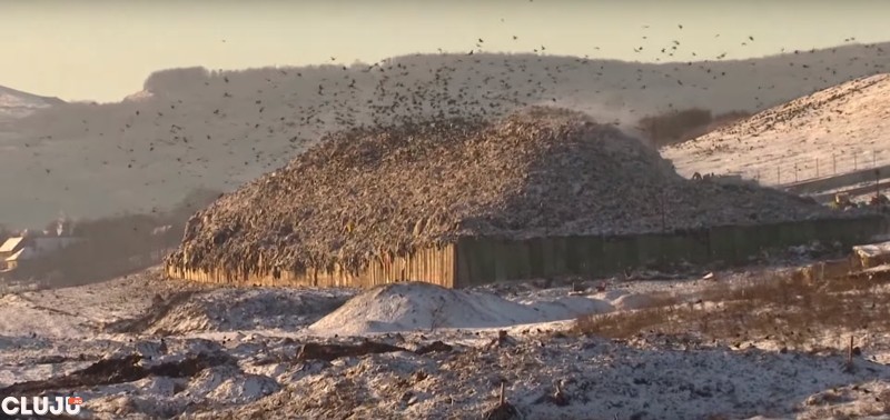 Viata la groapa de gunoi de la Pata Rat | Imagini filmate cu camera ascunsa