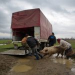 tiplea remus romania shortlist professional daily life 2016 9 580x435