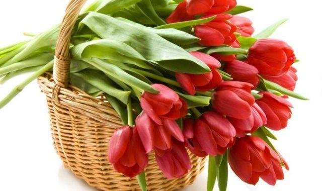 8 martie