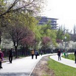 Aleea Parcul Babes si Parcul Rozelor
