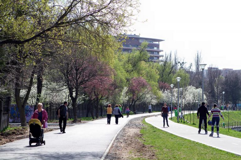Aleea Parcul Babes si Parcul Rozelor