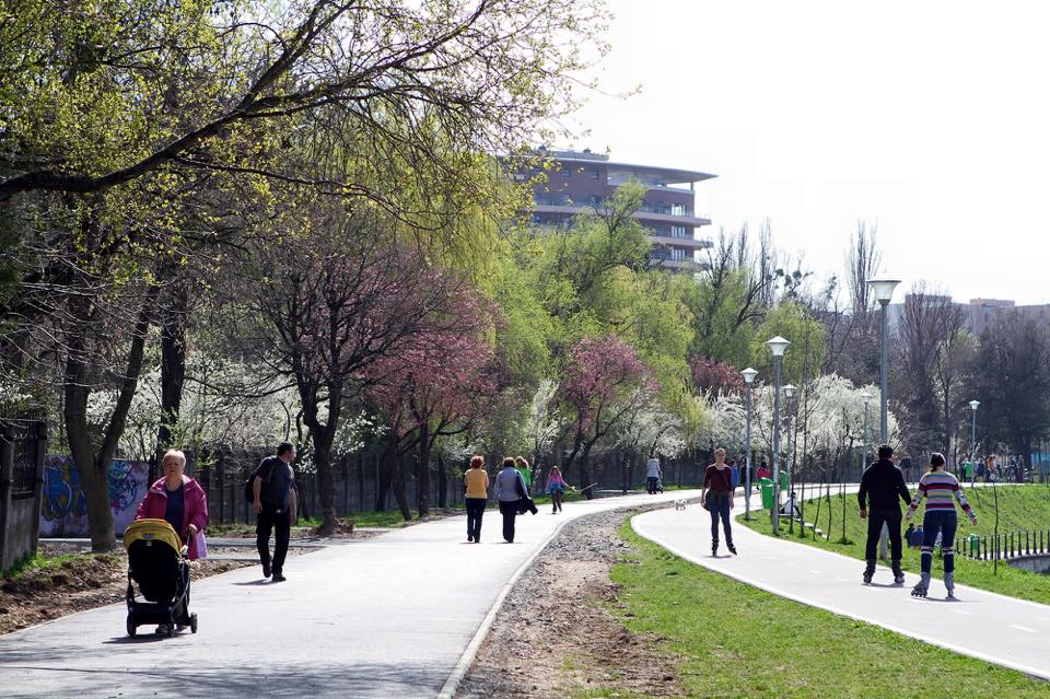 Aleea Parcul Babes si Parcul Rozelor
