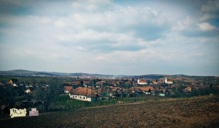 Bogata