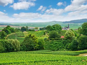champagne-country
