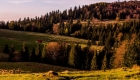 d2544678-ced7-4980-abf3-48c44c76059b