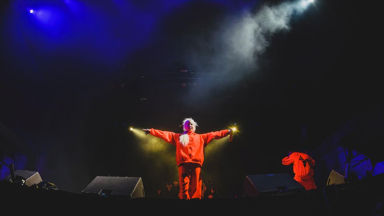 die antwoord