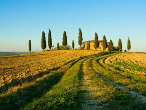 tuscany