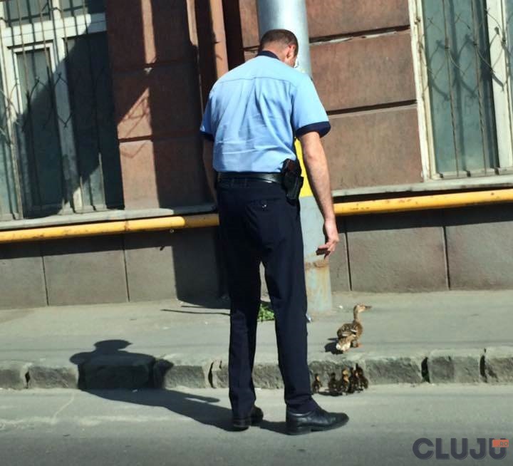 politist cluj gest rata strada