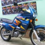 Premiul cel mare