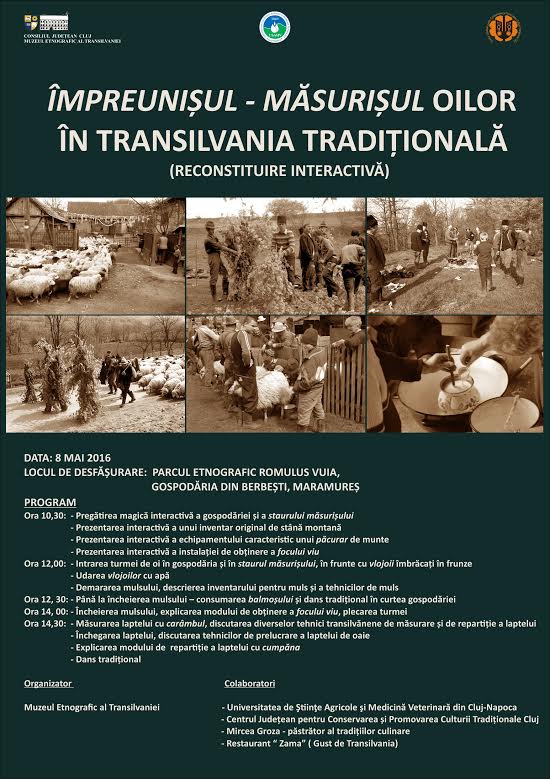 Măsurișul oilor