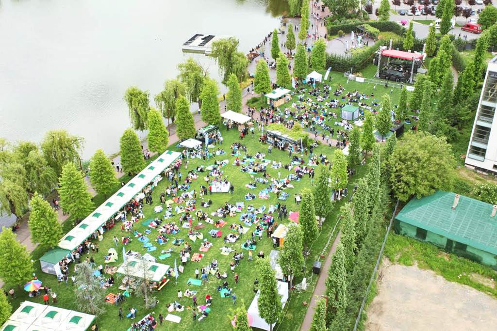picnic in the park