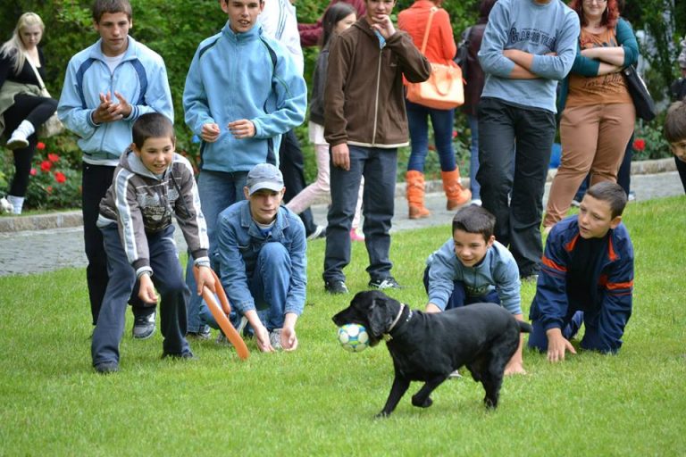 ziua interactiunii om animal usamv