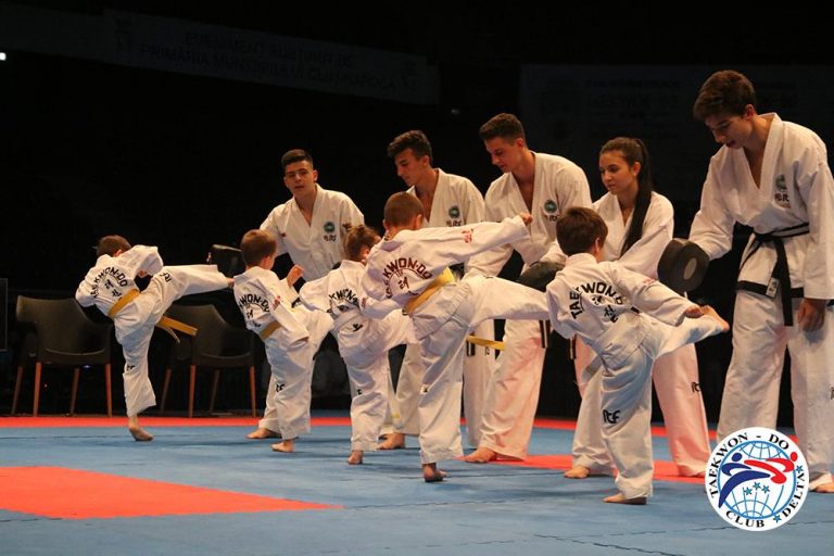 taekwon do cluj 2016