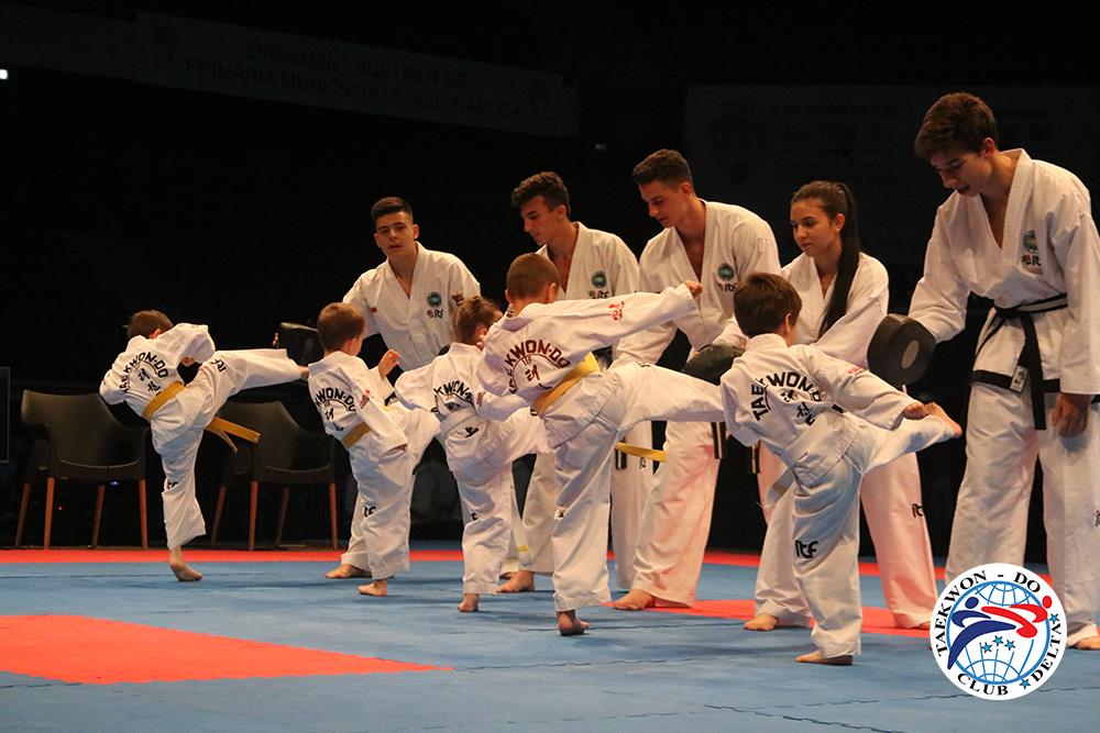 taekwon do cluj 2016