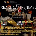 afis valcele