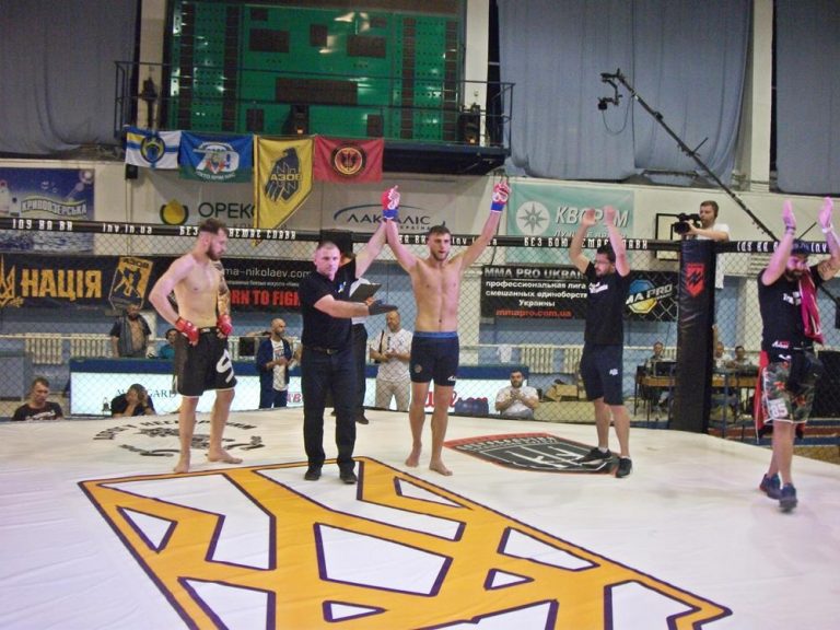 ion surdu mma transilvania