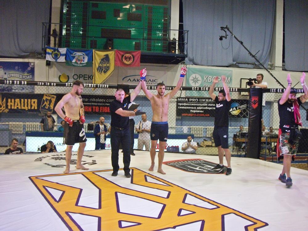 ion surdu mma transilvania