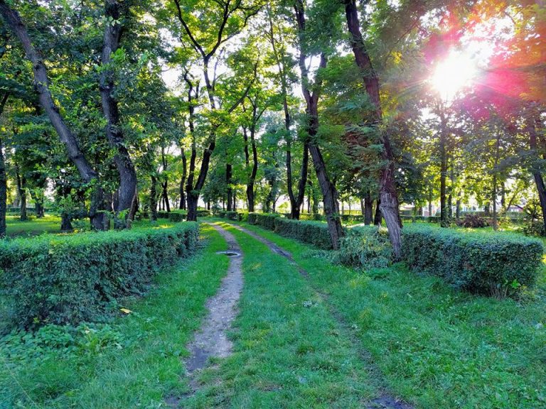 parcul armatura cluj