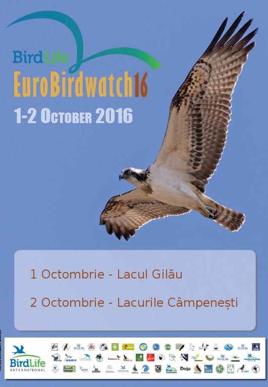 EuroBirdwatch
