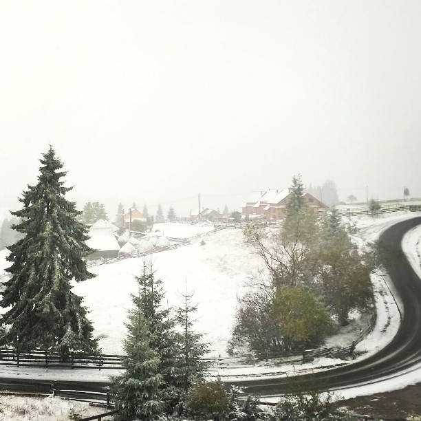 Mărişel