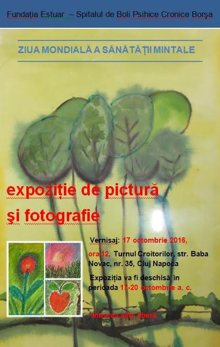 expozitie brosa