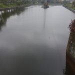 vegetatie 2