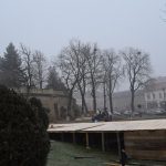 DSC 5596
