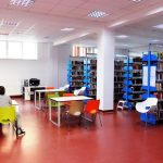 biblioteca zorilor 2