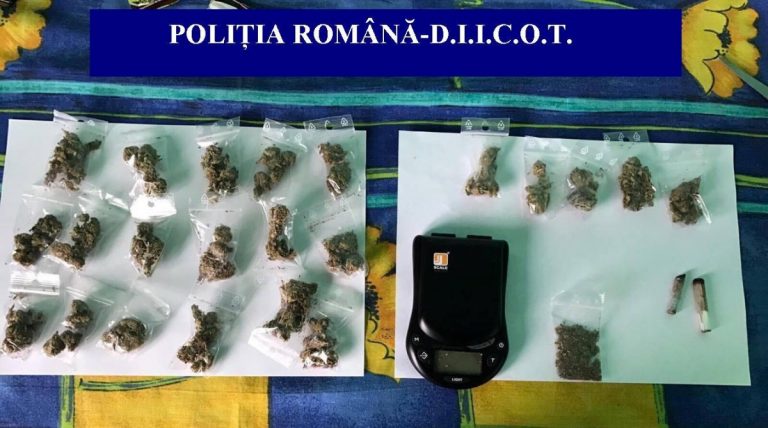 Poliţiştii şi procurorii DIICOT au efectuat percheziţii la traficanţii de droguri din Cluj! Droguri, bani şi un pistol au fost confiscate (FOTO) 1 FOTO 2 BCCO 1 MARTIE