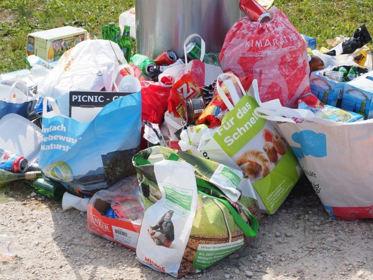 Campanie de ecologizare în judeţul Cluj. Cetăţenii sunt rugaţi să se implice 3 garbage 1260833 1280