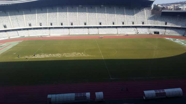 gazon cluj arena