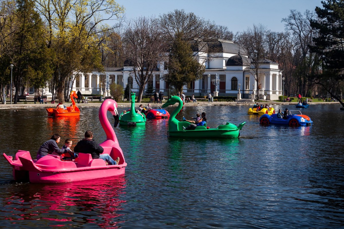 17635444_1310046182417537_282453038606494861_o