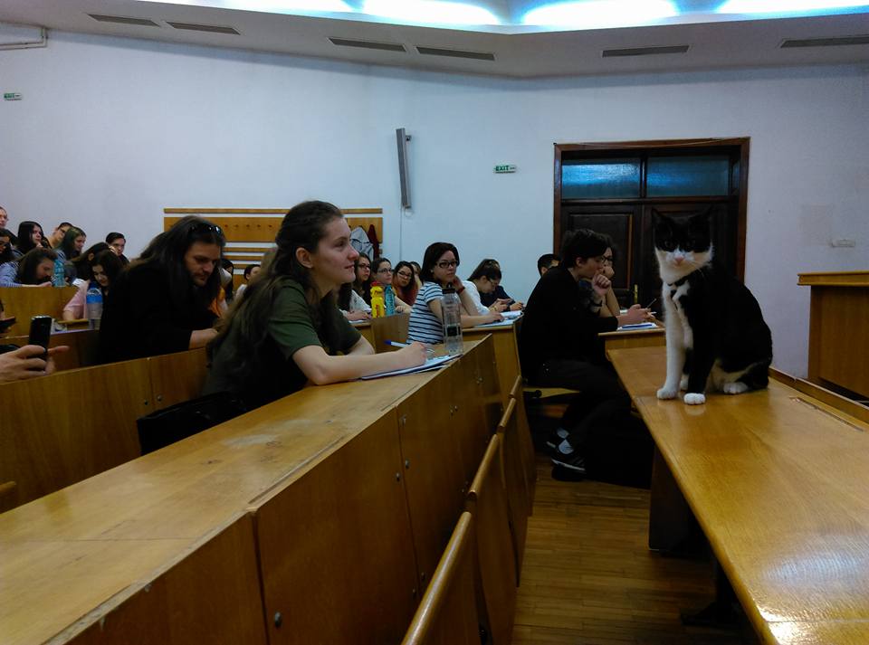 18199051_10154533862143568_4384707761672836308_n