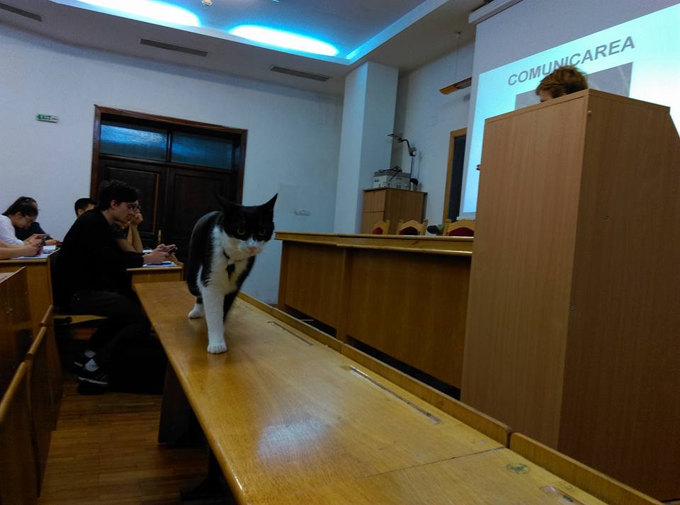 18199551_10154533862243568_2022521170190058060_n